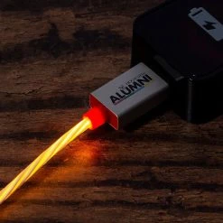 Official Harry Potter LED USB C Cable & Thumb Grips (Nintendo Switch)